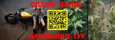 тгк Будённовск