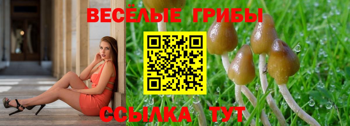 цена   Вход с VPN  Галлюциногенные грибы мухоморы  Славгород  Галлюциногенные грибы мицелий 