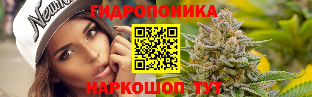 Марихуана VHQ  Канабис THC 21%  Славгород  Вход с VPN 